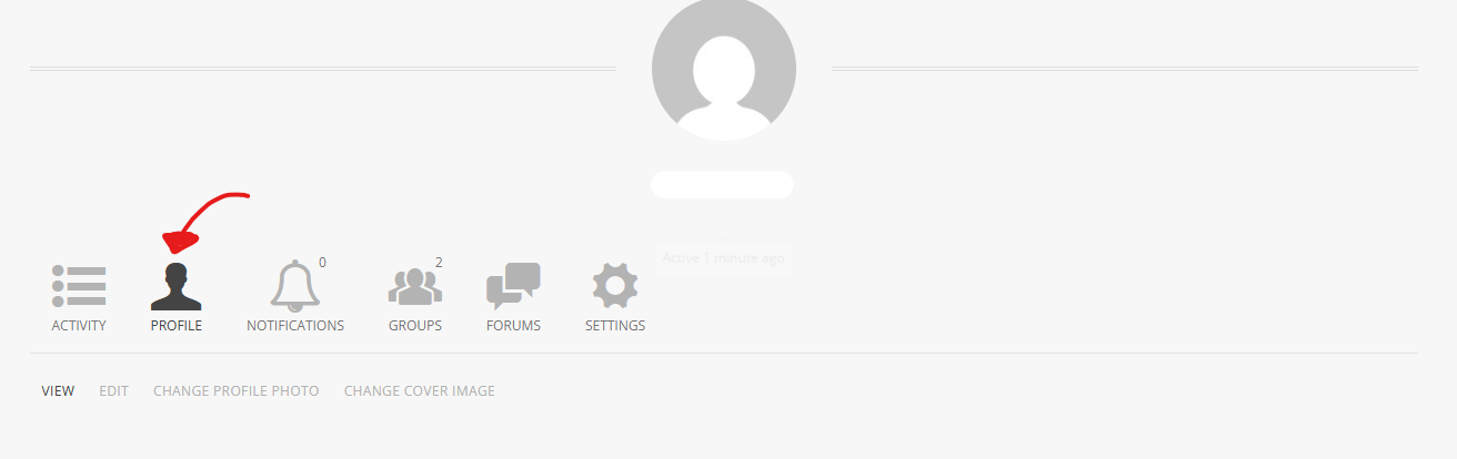 ProfileTab